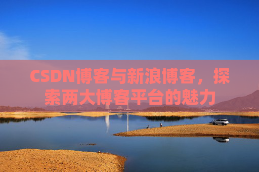 CSDN博客与新浪博客，探索两大博客平台的魅力